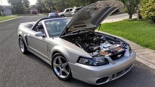 2003 Ford Mustang - Jefferson  Criollo 's 2003 Ford Mustang