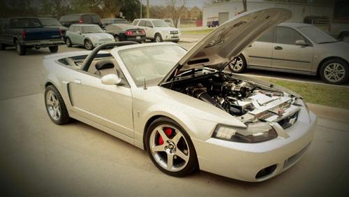 2003 Ford Mustang - Jefferson  Criollo 's 2003 Ford Mustang