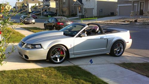 2003 Ford Mustang - Jefferson  Criollo 's 2003 Ford Mustang