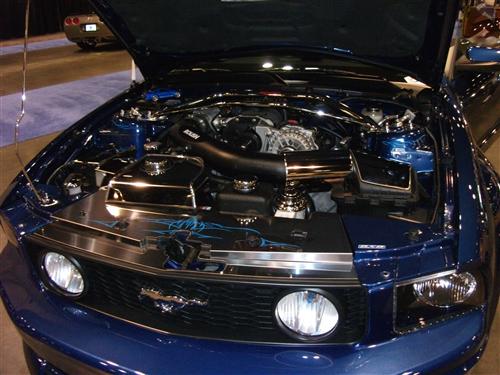 2006 Ford Mustang GT - Ramon Suarez's 2006 Ford Mustang GT